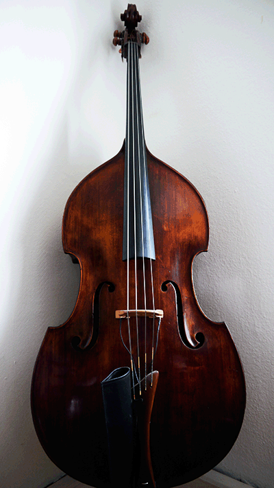 Kontrabass Kontrabass